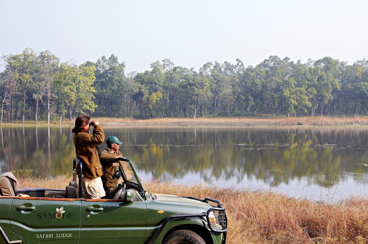 Samode Safari Lodge Parasi Bagian luar foto